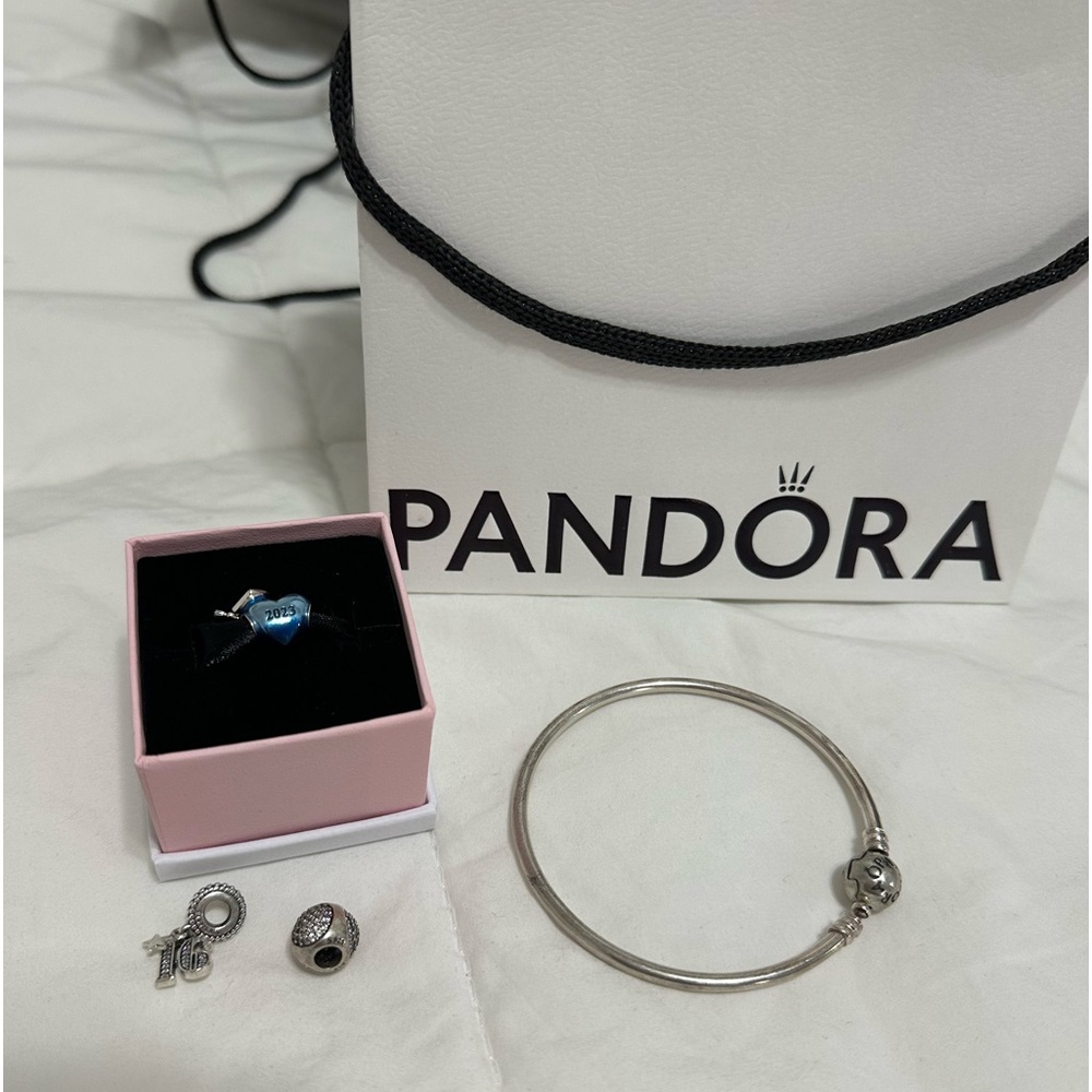 pandora bracelet and charms- sold together or separately